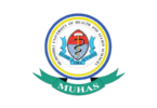 Business Administrative Officer II at MUHAS February 2026