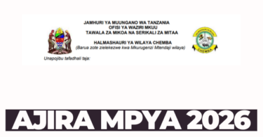 Chemba District Council Vacancies 2026