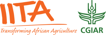 Field Assistant – 3 positions Mwanza, Geita at IITA February 2026