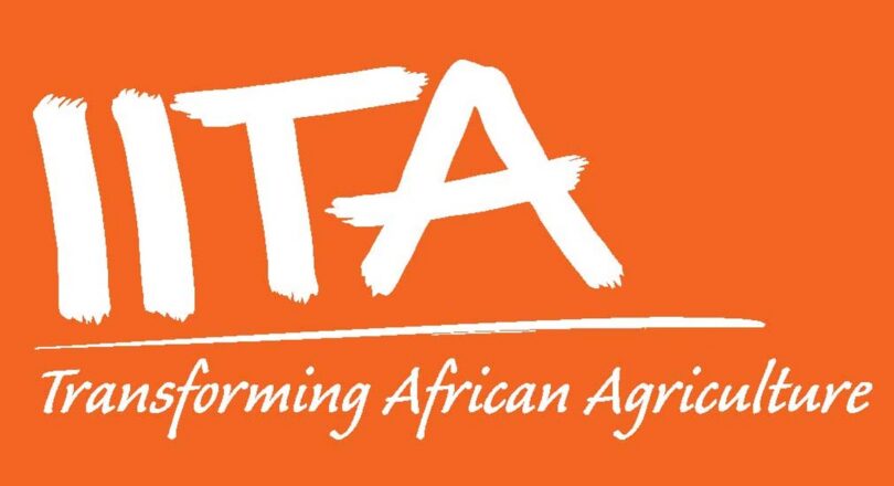 Field Facilitators – 3 positions Siha, Kilimanjaro at IITA February 2026