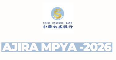 Independent Non-Executive Director Opportunity – China Dasheng Bank Limited (February 2026)