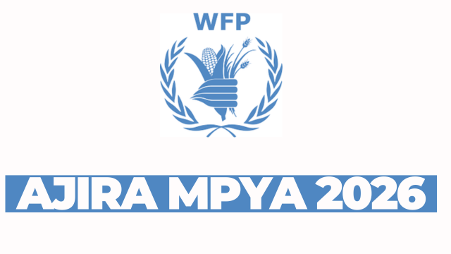 Intern (Project Management and Coordination Support) at WFP February 2026