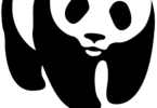 Monitoring and Evaluation Officer at WWF February 2026