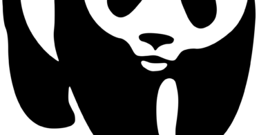 Monitoring and Evaluation Officer at WWF February 2026