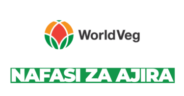 Research Fellow – Data Analyst Job at World Vegetable Center February 2026