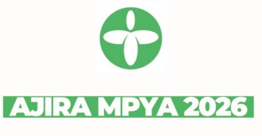 Sales Executive at Tabono Consult February 2026