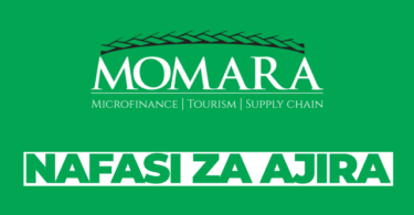 Sales and Marketing Executive – Car Rental Services at Momara February 2026