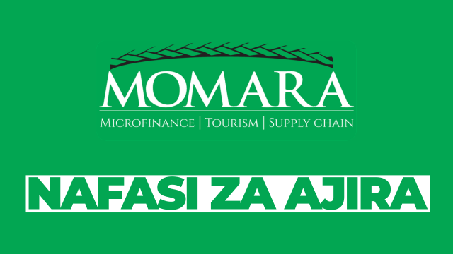 Sales and Marketing Executive – Car Rental Services at Momara February 2026