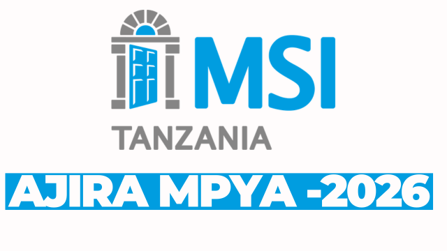 Stock Accountant at MSI Tanzania February 2026
