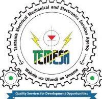 TEMESA Vacancies February 2026