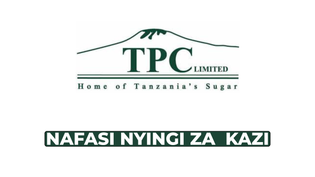 TPC Ltd Jobs: Foreman Records Management & Internships – Feb 2026