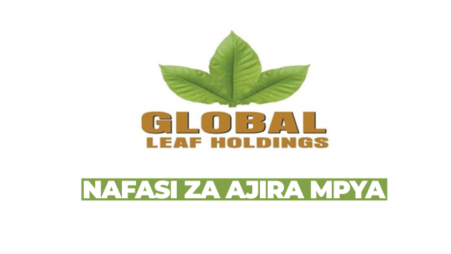 Tobacco Leaf Buyer at Global Leaf Tanzania Limited February 2026