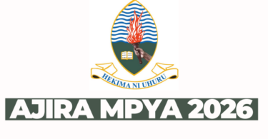 Tpp Program Officer at UDSM February 2026