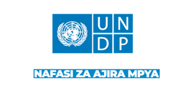 UNDP Vacancies 2026