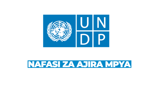UNDP Vacancies 2026