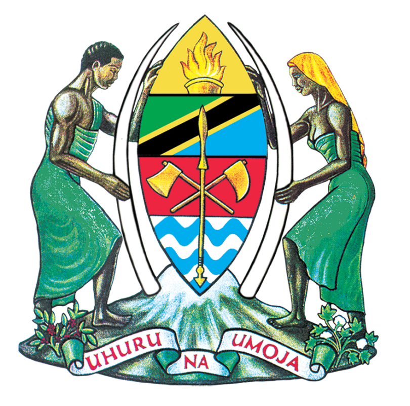 Various HALMASHAURI Jobs February 2026