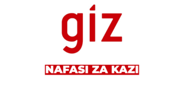 AI Advisor Job Opportunity at GIZ