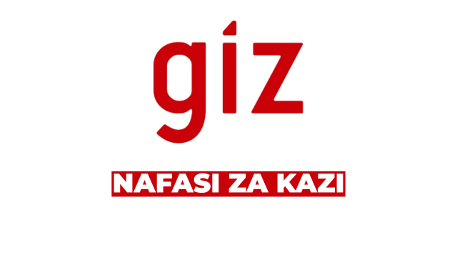 AI Advisor Job Opportunity at GIZ