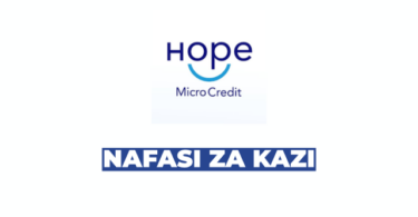 Accountant and Assistant Accountant at Hope Microcredit Company