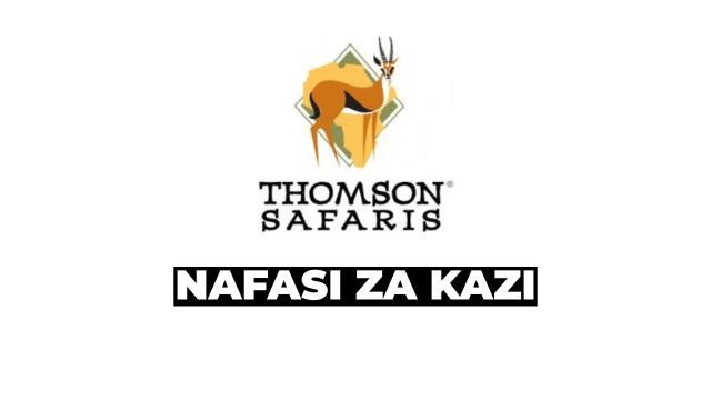 Accounts Team Leader at Thomson Safaris