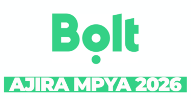 Agency Support Consultant – Public Policy & Regulatory Engagement (Tanzania) at Bolt March 2026