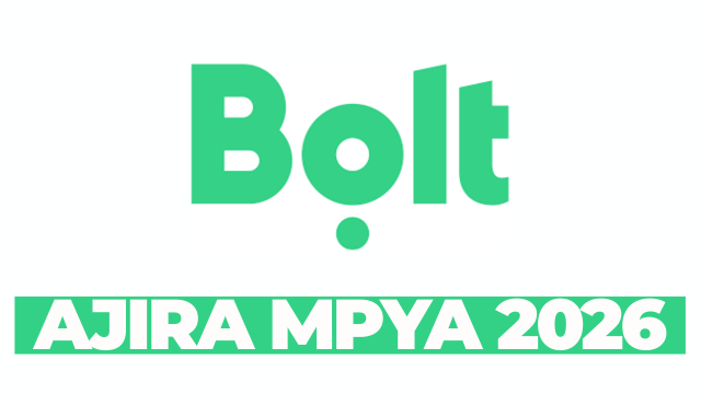 Agency Support Consultant – Public Policy & Regulatory Engagement (Tanzania) at Bolt March 2026