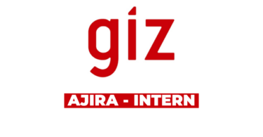 Artificial Intelligence (AI) Internship Opportunity at GIZ
