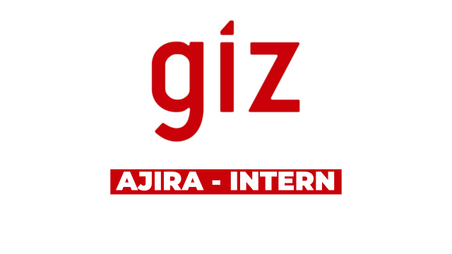 Artificial Intelligence (AI) Internship Opportunity at GIZ