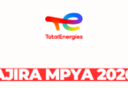 Budget & Reporting Manager at TotalEnergies March 2026