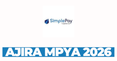 Business Development Officer (BDO) (Loan Officers and Collection Officers) at Simplepay Capital Financial Services Tanzania Ltd February 2026