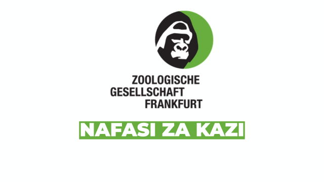 Communications and Fundraising Liaison Opportunity in the Serengeti Ecosystem