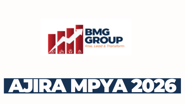 Finance Manager at BMG Group International Limited