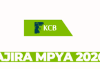 Head of Digital Financial Services at KCB Bank March 2026