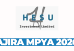 Heavy Duty Mechanic at Hesu Investment Ltd March 2026