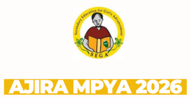 Information and Computer Studies (ICS) Teacher at SEGA March 2026