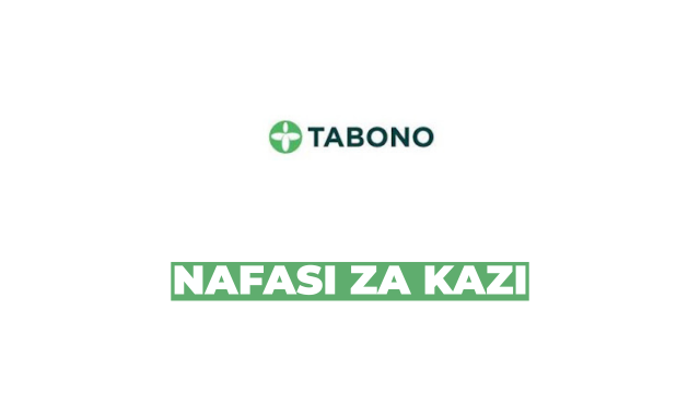 Land Surveyors at Tabono Consult March 2026