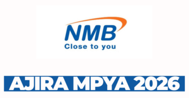 NMB Bank: Manager; Finance Reconciliation (1 Position(s)) Apply Before 6 March 2026