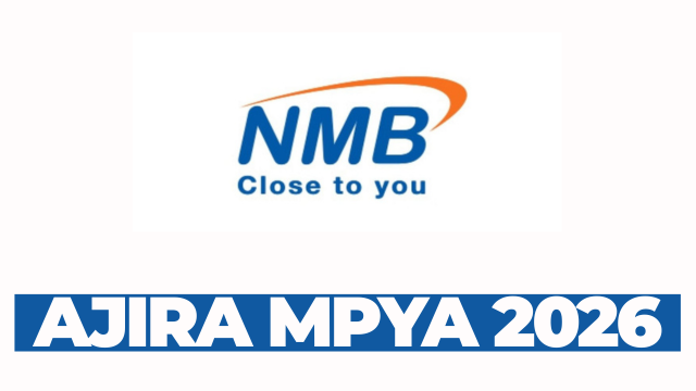 NMB Bank: Manager; Finance Reconciliation (1 Position(s)) Apply Before 6 March 2026