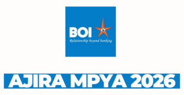 Manager / Officer Credit at Bank of India (Tanzania) Ltd March 2026