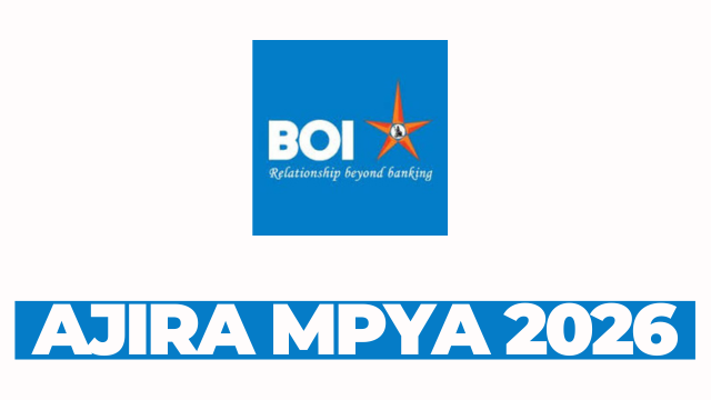 Manager / Officer Credit at Bank of India (Tanzania) Ltd March 2026