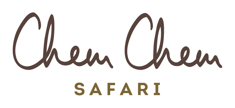 Spa Therapists at Chem Chem Safari March 2026