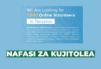 1,000 Online Volunteer Opportunities in Tanzania – UN Volunteers Programme 2026