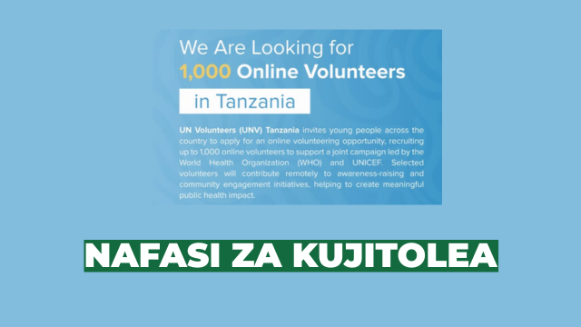 1,000 Online Volunteer Opportunities in Tanzania – UN Volunteers Programme 2026