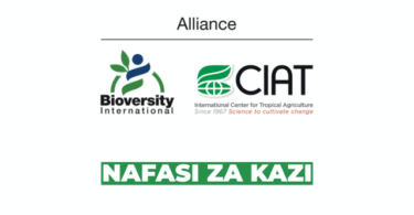 Alliance Bioversity & CIAT Vacancies 2026 at Alliance of Bioversity International and CIAT