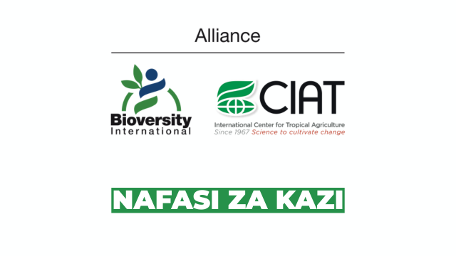 Alliance Bioversity & CIAT Vacancies 2026 at Alliance of Bioversity International and CIAT