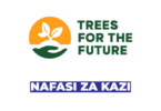 Procurement Coordinator Job at Trees for the Future (TREES) – Tanzania
