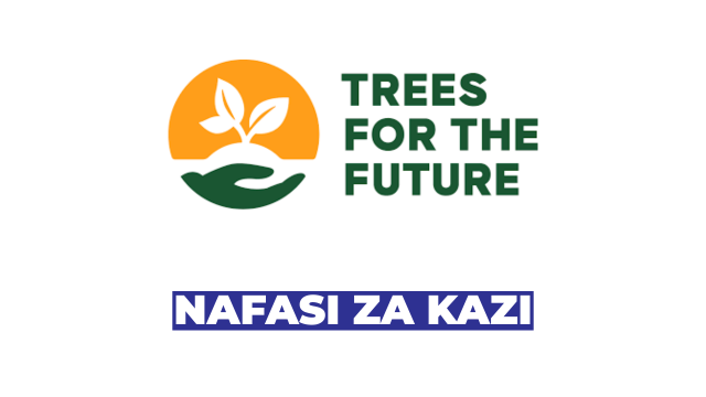 Procurement Coordinator Job at Trees for the Future (TREES) – Tanzania