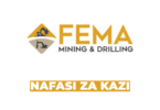 Procurement and Logistics Officer Job Opportunity at Fema Mining and Drilling Limited