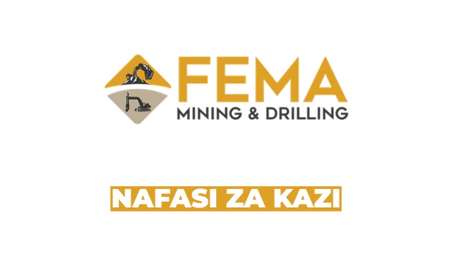Procurement and Logistics Officer Job Opportunity at Fema Mining and Drilling Limited