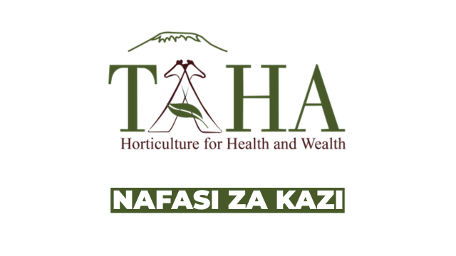 TAHA Vacancies 2026